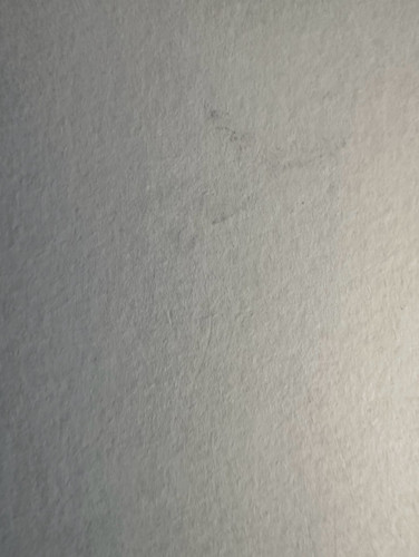 205.jpg