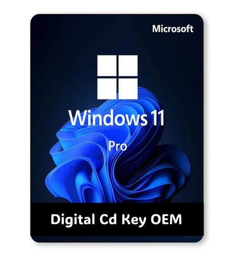 microsoft 11 pro.png