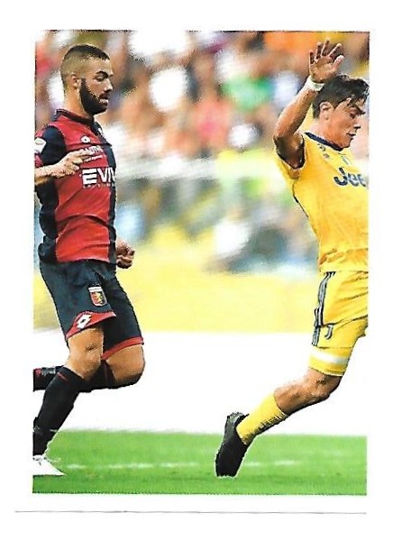 195.jpg
