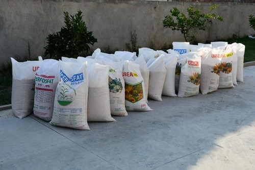 458306461 965687595571350 5689212428332820942 n.jpg?stp=dst jpg p526x395& nc cat=109&ccb=1 7& nc sid.jpg