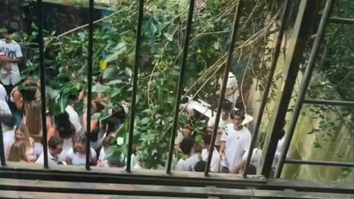 GWp5rl XEAAM5T ?format=jpg.jpg