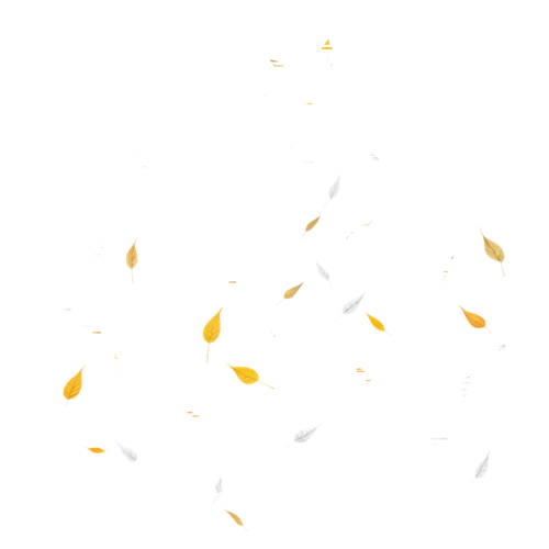 tengrai image 1725350923 657844.png