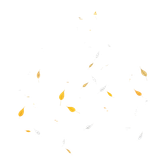 tengrai image 1725350923 657844