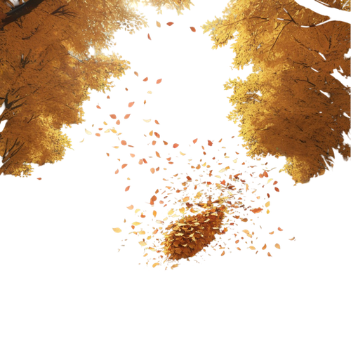 tengrai image 1725350434 806988.png