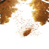 tengrai image 1725350434 806988