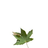 tengrai image 1725350704 4375317