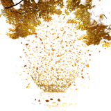 tengrai image 1725350436 3134468