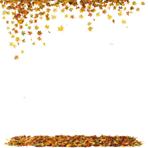 tengrai image 1725350924 891047.png