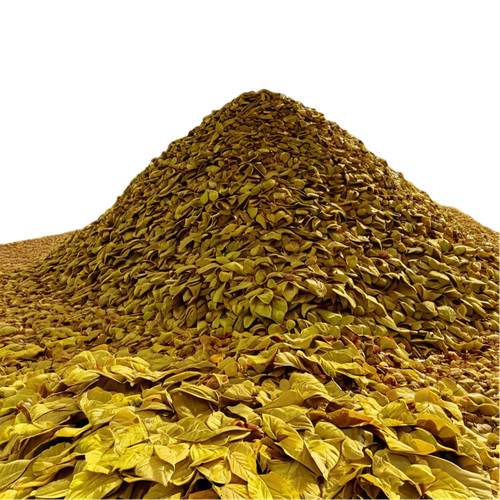 tengrai image 1725350698 040541.png