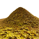 tengrai image 1725350698 040541