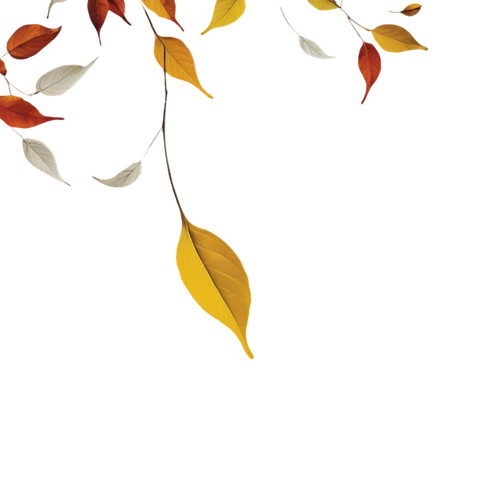 tengrai image 1725350922 7020779.png