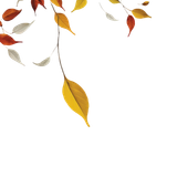 tengrai image 1725350922 7020779