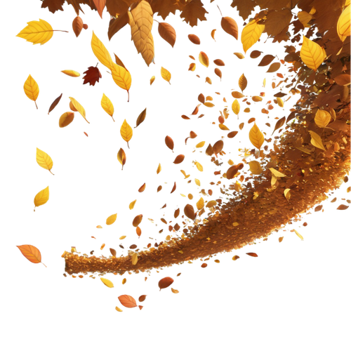 tengrai image 1725350437 691513.png