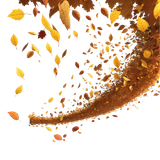 tengrai image 1725350437 691513