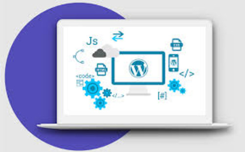 Invoidea Provides Custom WordPress Development Services in Delhi.jpg