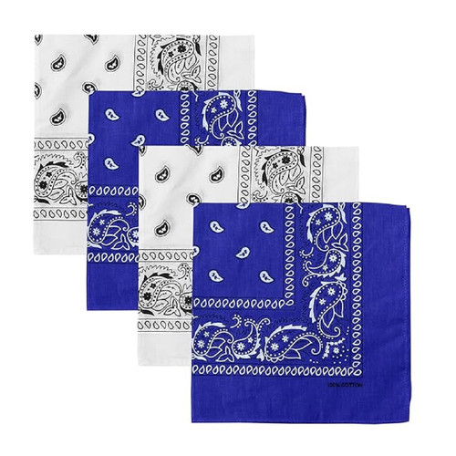 71qo+HizHRL. SX679 .jpg