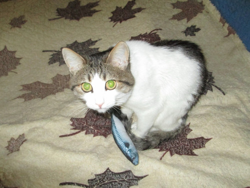 1725449689 578054338.jpg