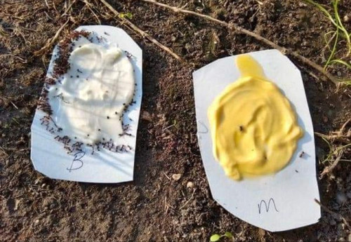 gbzPbqpG UGikOyYYgL9jzPLv3PmA6S2QJ3BtSM7UcbrvZ0OdknNw8x7e6aoJmVl5g5013hvb8XV0XKjvyPzOeQWZbHbp2Qvq4AP.jpg