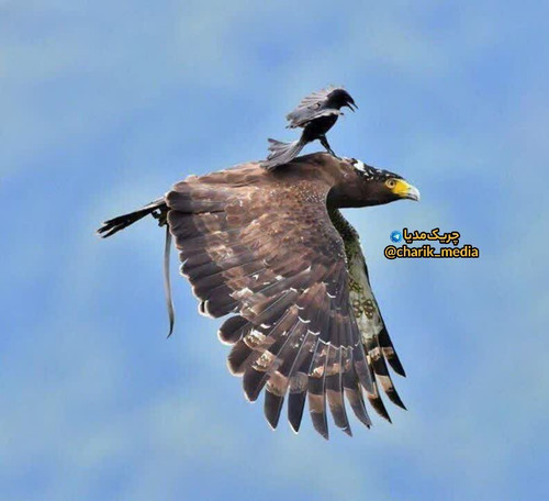 HOiyDtpQpwnmI6f6vDAU F6oaMV evxj5dDBOqIiU73K0nFfVi3pDXisgCzXD4 ie6qW NzXUNMI8j4pnzjzb7g1gKZYPZA2DbZz.jpg