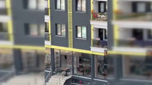 Yd4L bB35V5c8onW.jpg