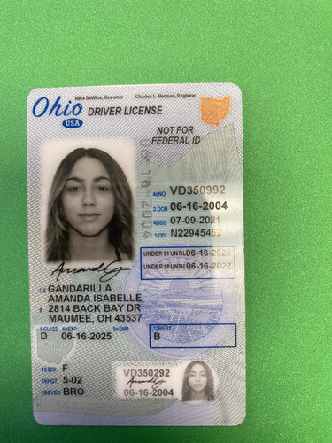 Amanda Isabelle Gandarilla license image.jpg