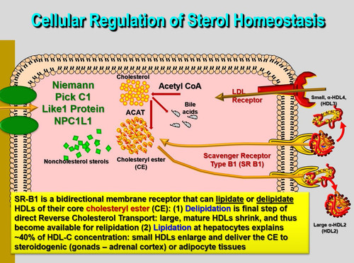 GWoo91GWAAAk Tw?format=jpg.jpg
