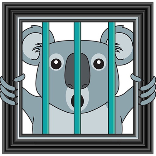 Brisbane Certificate Framing.jpg