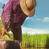 project 01 370x570.webp.png