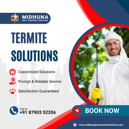 Termites can cause extensive damage to your property..png