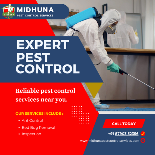 Looking for the best pest control near you?.png
