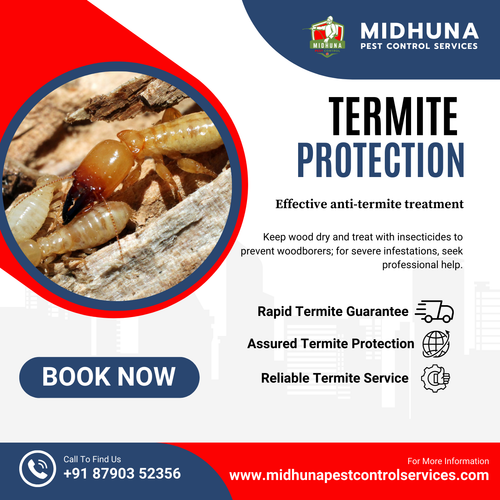 Need anti-termite treatment?.png