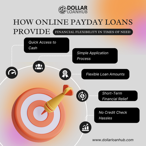 How Online Payday Loans Provide Financial Flexibility in Times of Need.png
