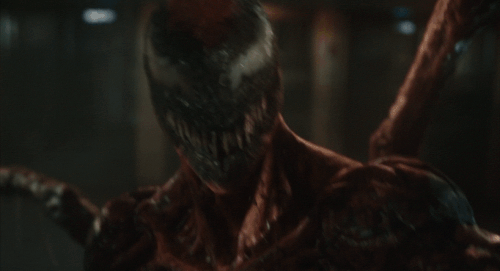 v2 305.gif