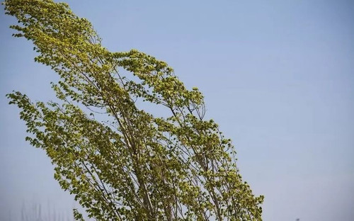 458326022 946402117518253 6496491529249773111 n.jpg?stp=dst jpg p843x403& nc cat=101&ccb=1 7& nc sid.jpg