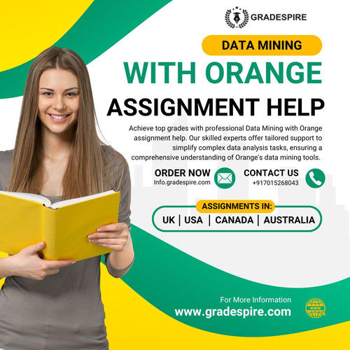 Data Mining with Orange Assignment Help | Gradespire.jpg
