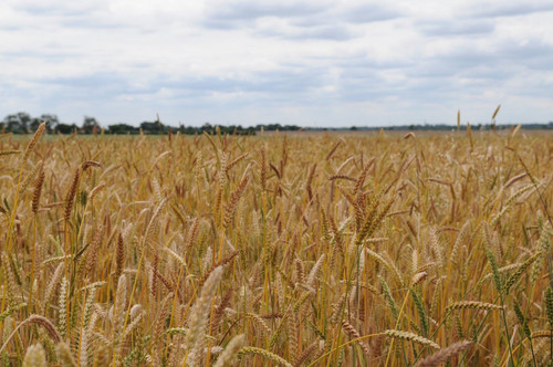 GWstYwyWgAEUc c?format=jpg.jpg