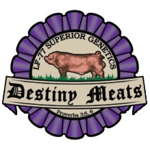 destiny logo 1 300x235 jpg square.jpg