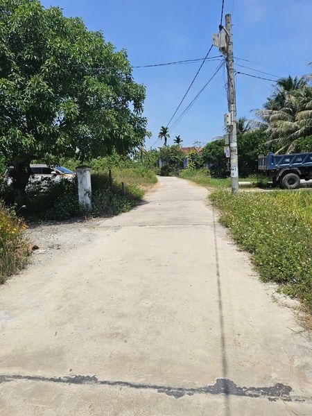 457800016 4059158571034034 4253515271867950118 n.jpg