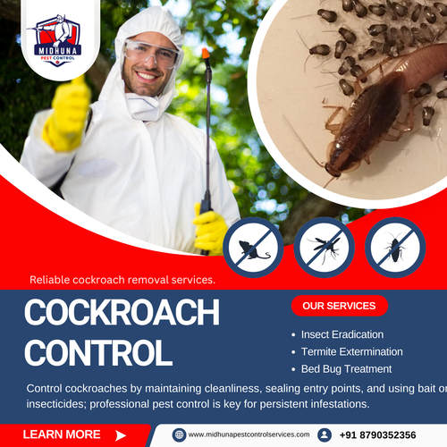 Need cockroach removal in Hyderabad?.png