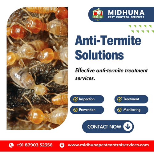 Looking for anti-termite treatment?.png