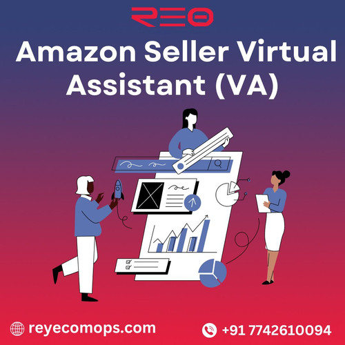  Amazon Seller Virtual Assistant (VA).jpg