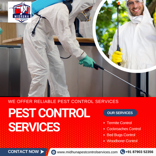 Need pest control in Hyderabad?.png