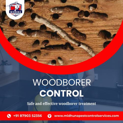 Worried about woodborers? Get expert control in Hyderabad with Midhuna Pest Control.png