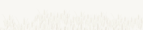 wheats.webp.png