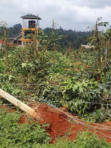 458207663 1050167079815130 554832506212142480 n.jpg?stp=dst jpg p526x296& nc cat=102&ccb=1 7& nc sid.jpg