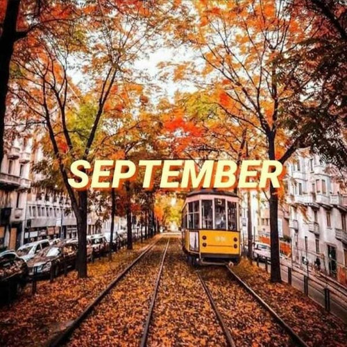 457033804 122131944404320157 8418796471082418909 n.jpg