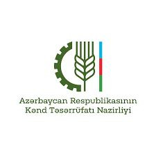 458273564 847988417517419 5390454197525484990 n.jpg? nc cat=106&ccb=1 7& nc sid=127cfc& nc ohc=lI4Zt.jpg