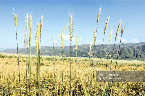 ux0ocDCEFzv457zr umVuP63CVRei2QE8M9TMx7lvhnJg2tVCdRSC4dykyvOzGBC2NKKjev9gPMdWtBy3RPBJqVfPZIHn HZZjWW.jpg