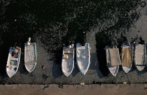 458290993 1302493697835453 6870878554268680961 n.jpg?stp=dst jpg s600x600& nc cat=100&ccb=1 7& nc si.jpg