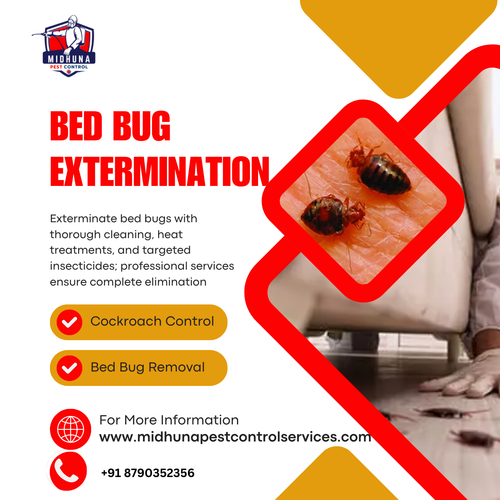 Dealing with bed bugs?.png